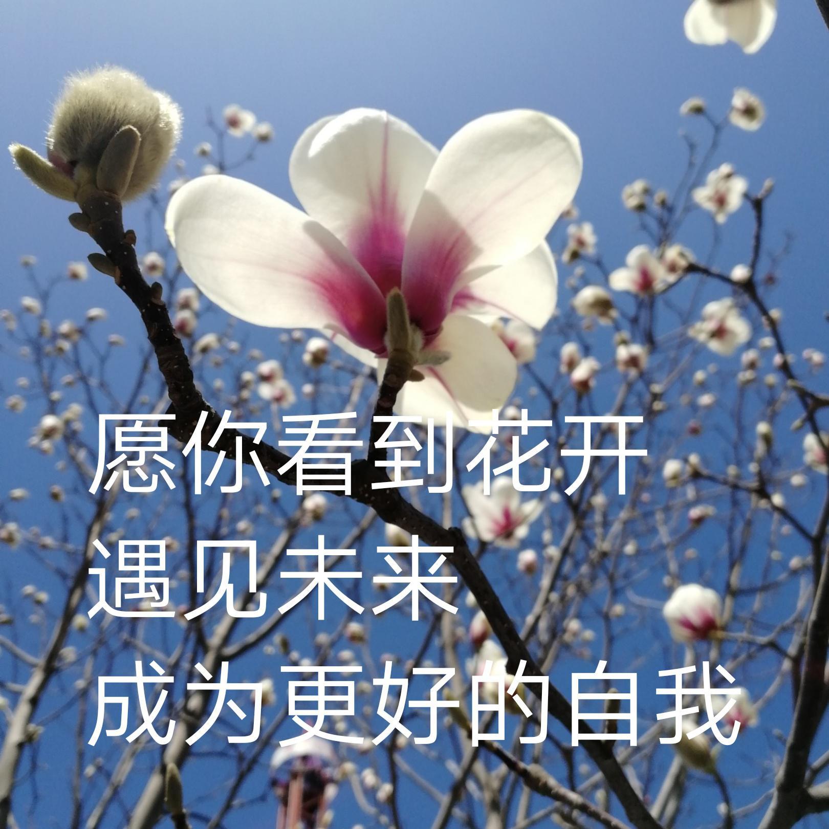 心理解惑头像