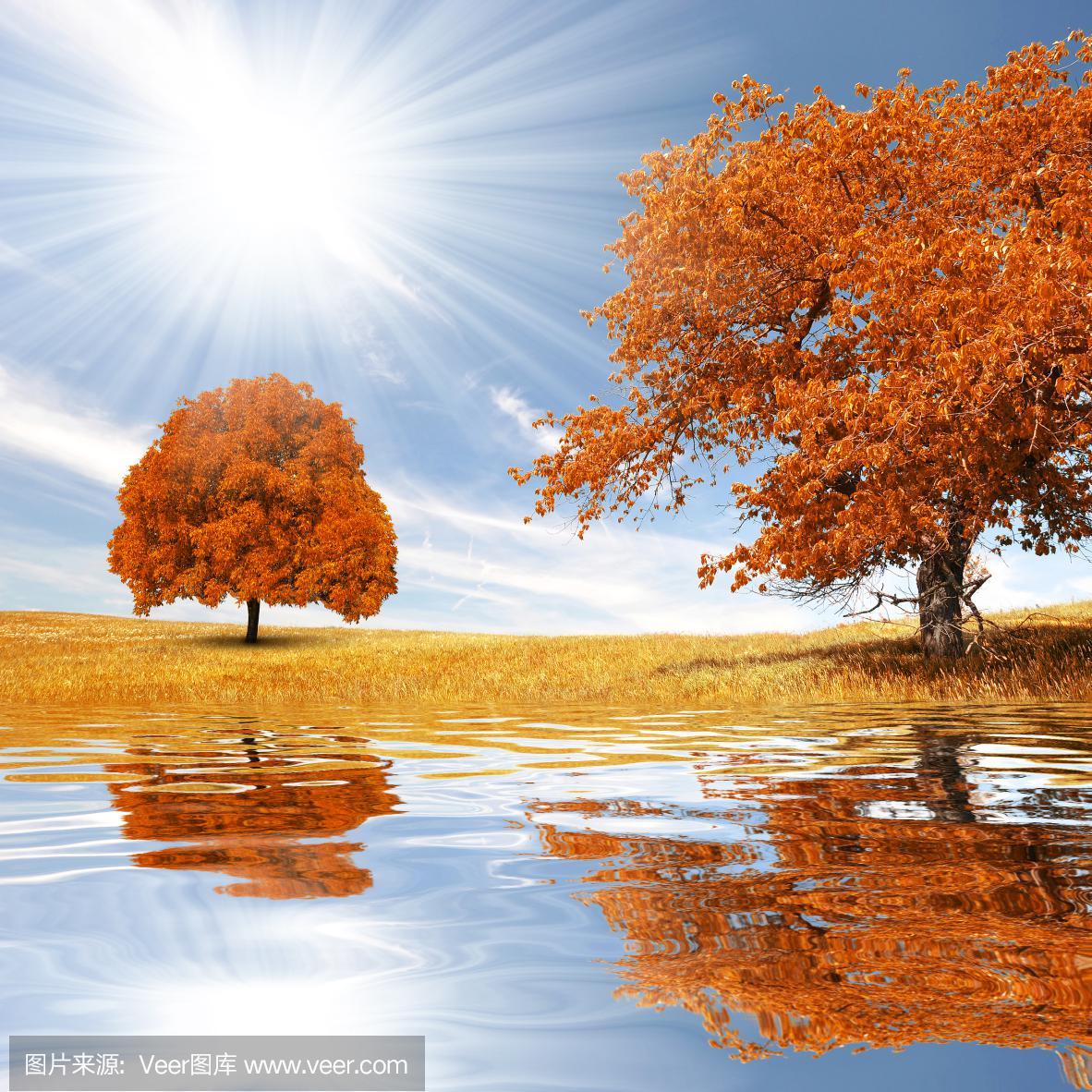 橄榄树123加油头像