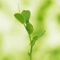 小丽乐吧头像