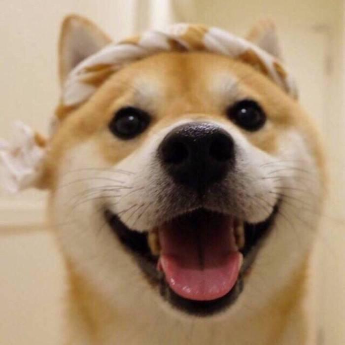 谦受益头像