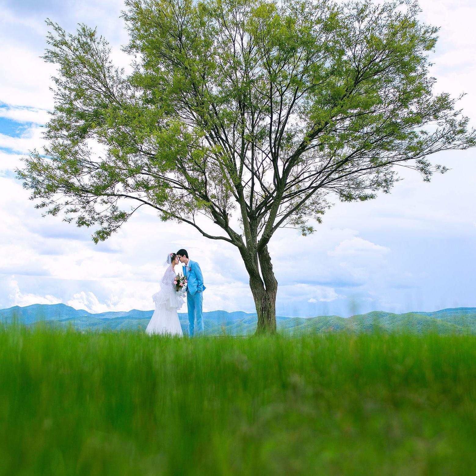 泰州全球旅拍婚纱摄影头像