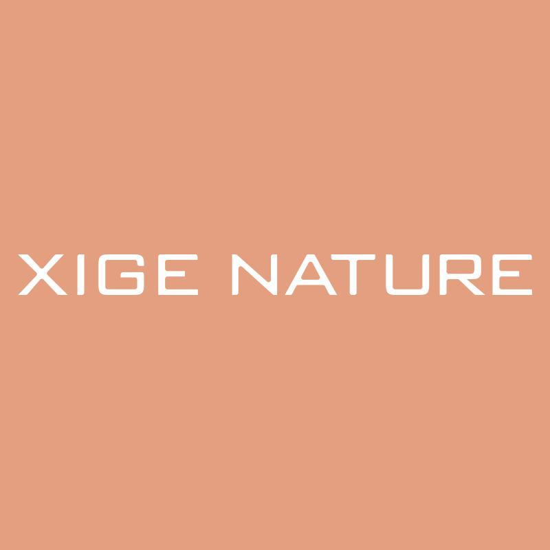 XIGENATURE头像