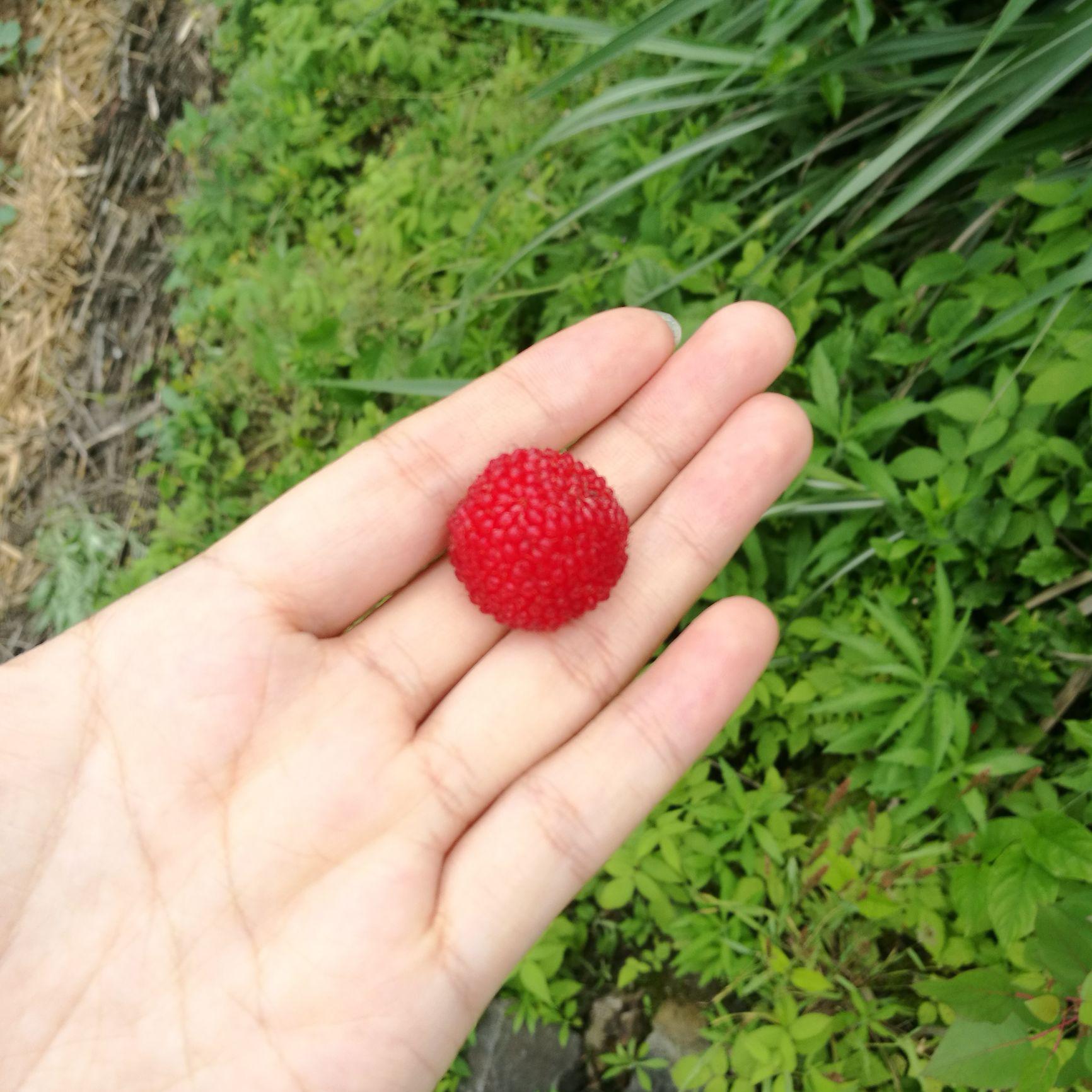 春天的小蜗牛头像