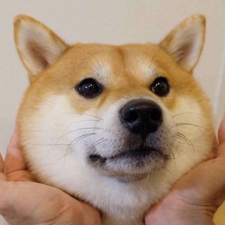 佳佳耳机生活馆头像