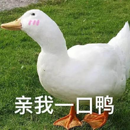 369ggg头像