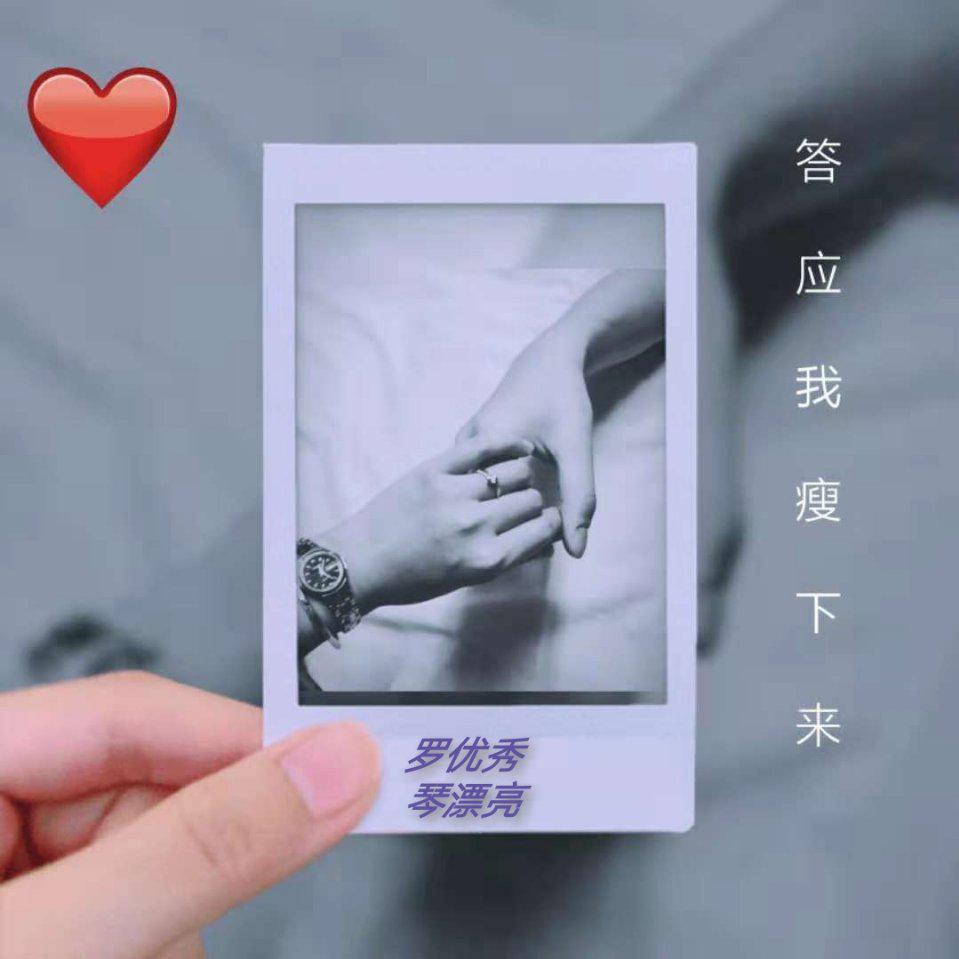 琴胖子不一定胖头像