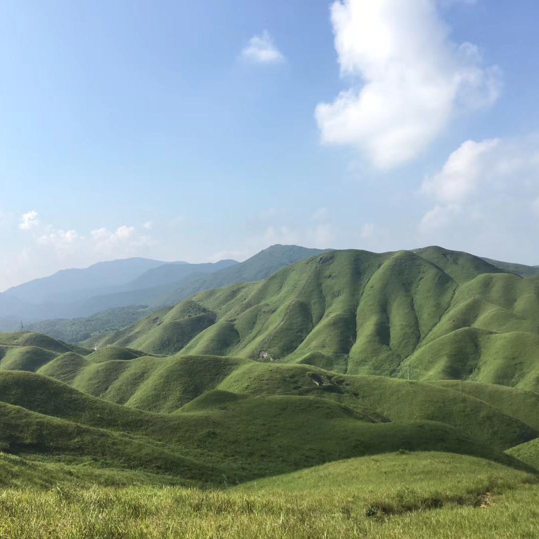 七秒记忆的鱼儿水中游头像