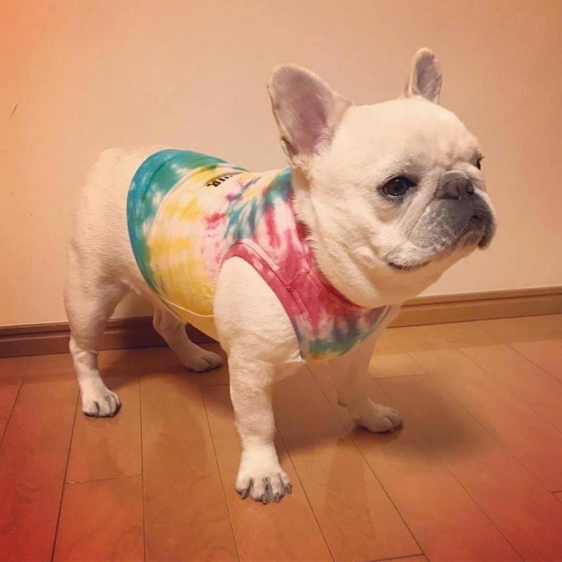 小蔓蔓解说头像