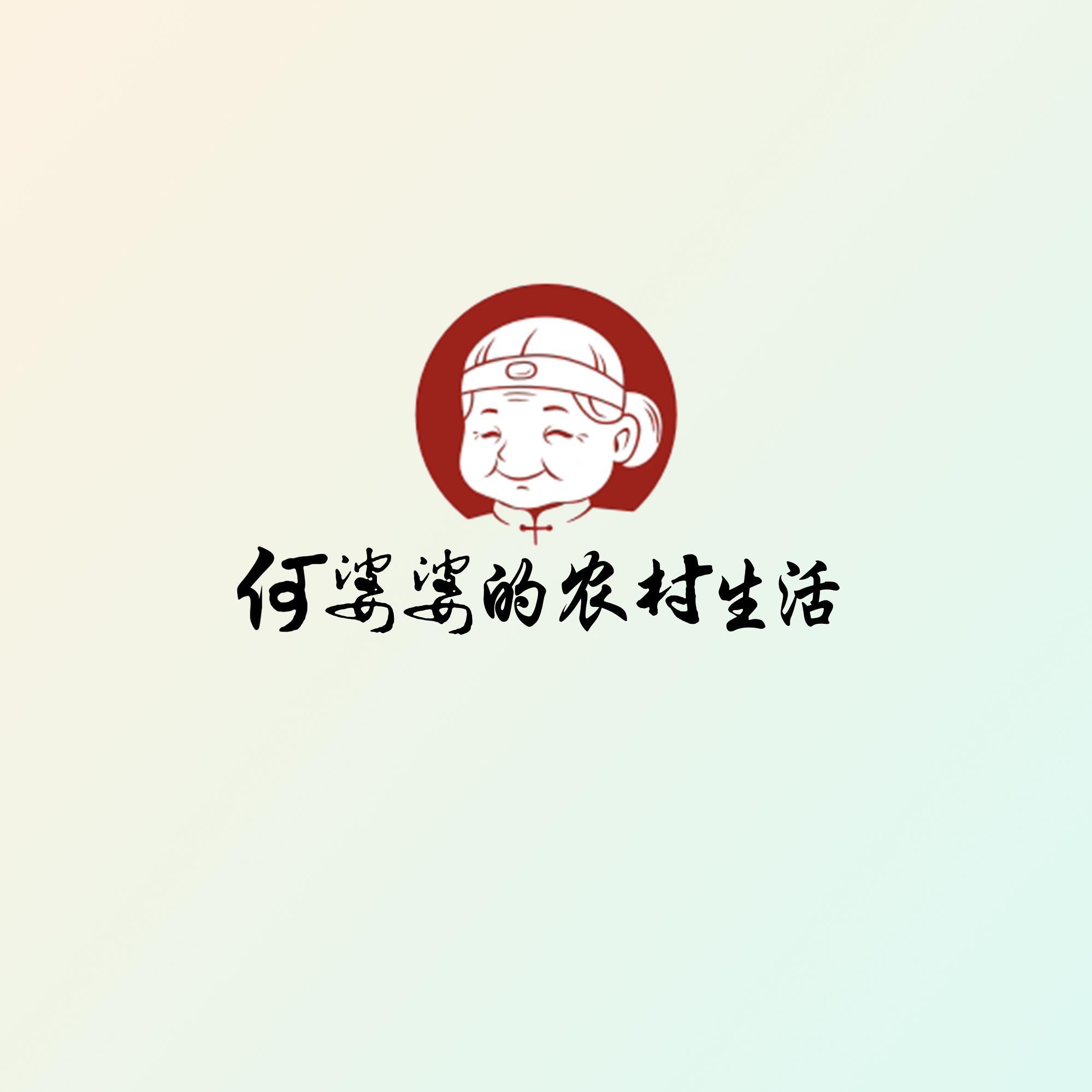 何婆婆农村的生活头像