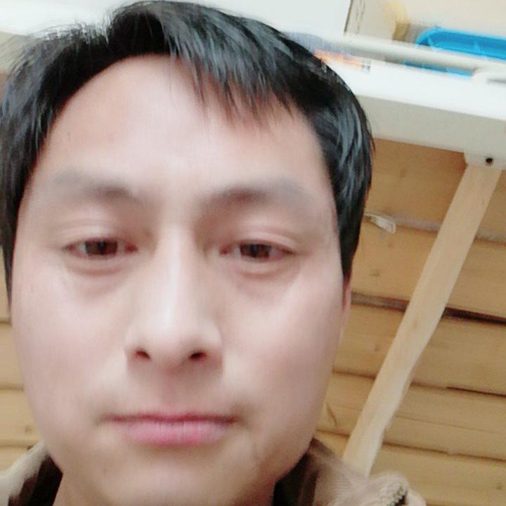 小强高哥头像