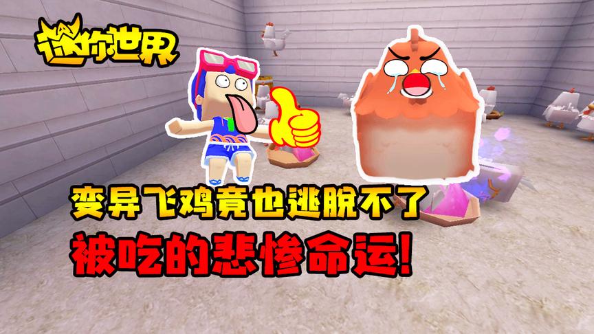迷你世界联机生存252：变异飞鸡竟也逃脱不了被吃的悲惨命运！
