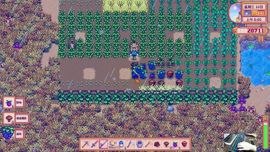 星露谷物语EP25：遍地黑莓遍地捡，升级完大鸡舍开始养鸭