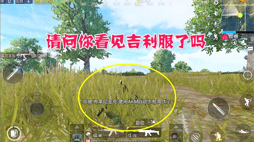 绝地求生刺激战场：这游戏画质太好了，吉利服伏地魔压根看不到