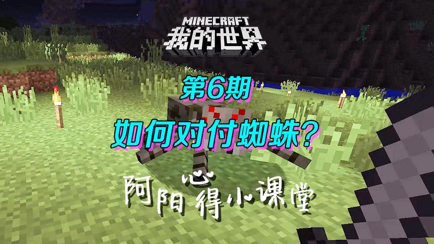 我的世界阿阳小课堂6：新手建房一定要封顶，小心它跳进来！