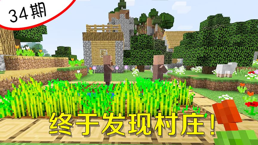 我的世界阿阳34：终于找到村庄，但是有个事情却让我疑惑不解！