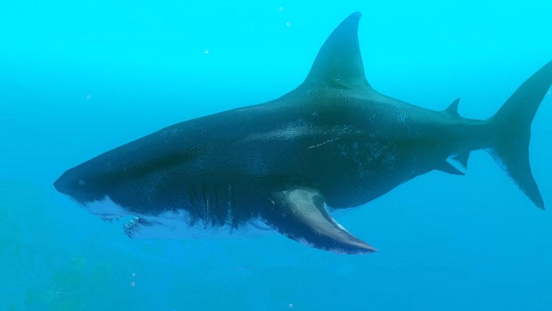 侠客解说 海底大猎杀：现在想夺回海底霸主 已经不可能了