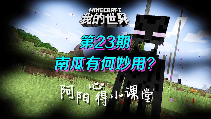 我的世界阿阳小课堂23：作为唯一遮挡视线的头盔，它还有这些用处