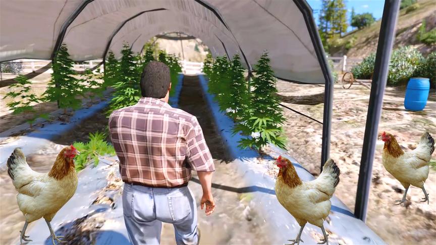 炮芯解说：有了属于自己的田园，还养了鸡！