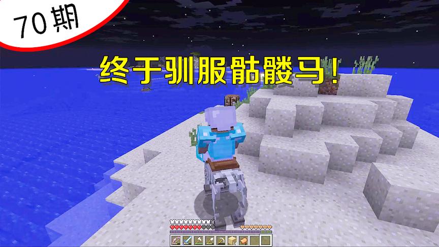 我的世界70：终于驯服3匹骷髅马，从此开始策马奔腾了！