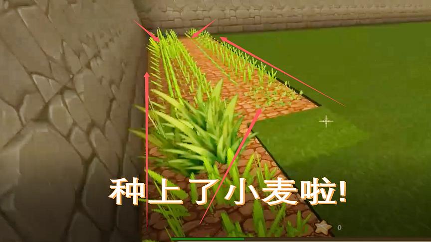 迷你世界11：清理杂草时收获到小麦种子，然后种上小麦就等收获啦