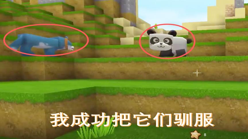 迷你世界28：粉丝建议我用竹子喂熊猫，结果我真的把他驯服带回家