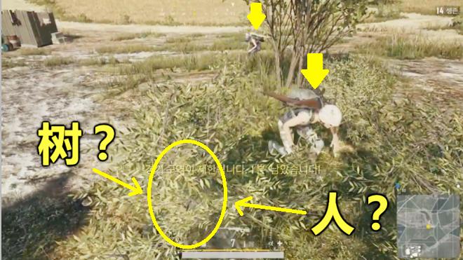 绝地求生：用吉利服变成一棵树，蹲在敌人身边打他，都不知我在哪