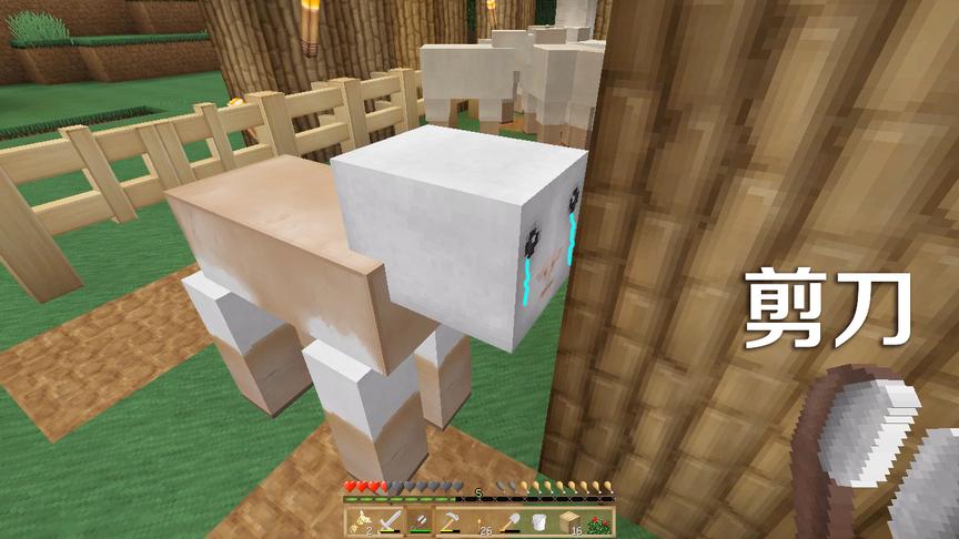 我的世界：刚刚还是一只美羊羊，这羊毛一剪，立刻变成了丑小羊