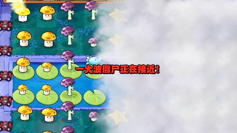 植物大战僵尸42：迷雾越来越多，这一波能守住吗？