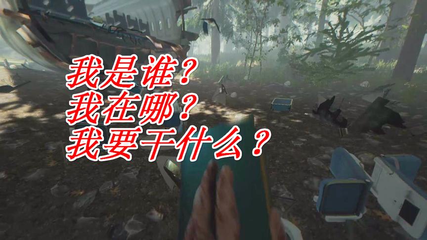 森林2：飞机坠落在森林周围地下一片狼藉心里真的不慌