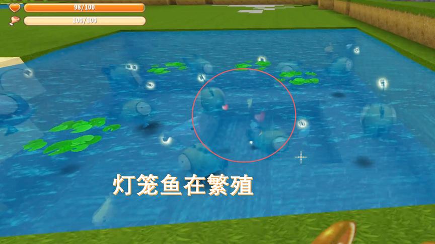 迷你世界153：听取粉丝们的建议，用鲜鱼喂养灯笼鱼果然生小鱼了
