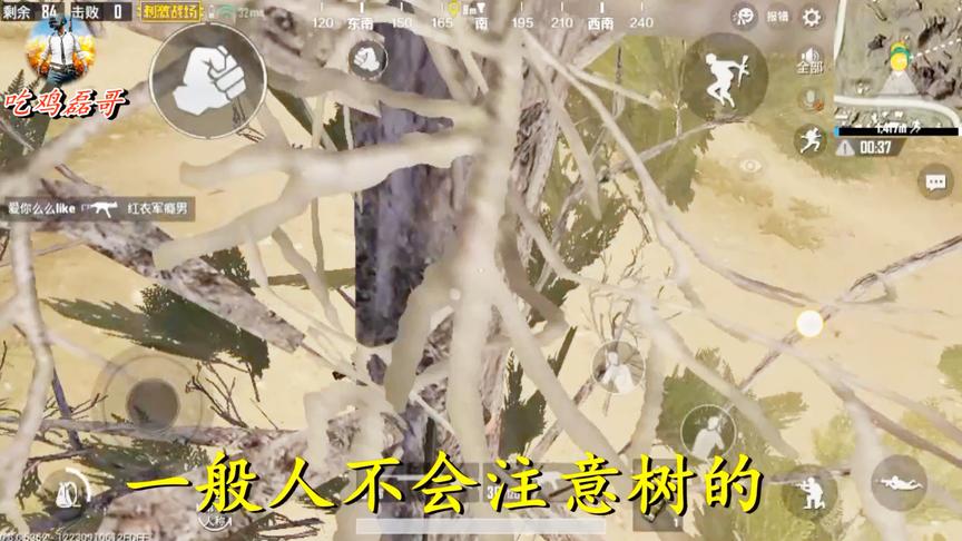 刺激战场：大树吉利服bug，操作简单，进来的都能看懂