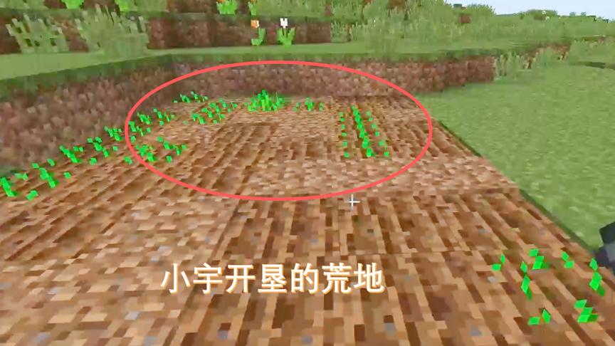 我的世界06：小宇开垦了一片荒地种了一些麦子，不怕以后饿肚子了