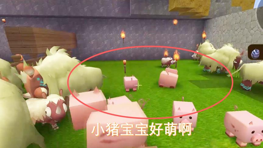 迷你世界198：小宇好久没回老家喂猪牛羊了，是时候回去看看了
