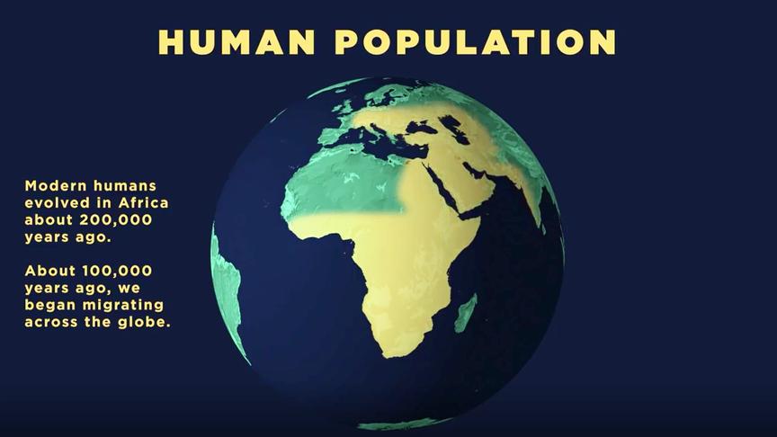 实时统计世界人口时钟 西瓜视频
