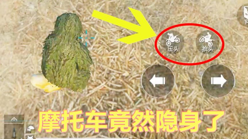 刺激战场：粉丝发来投稿 称发现重大秘密 自己变成隐形人