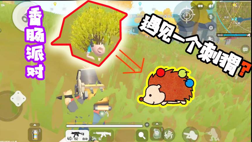 香肠派对十七：偶遇到一只“刺猬”小瓜皮！我这样逗他玩好么？