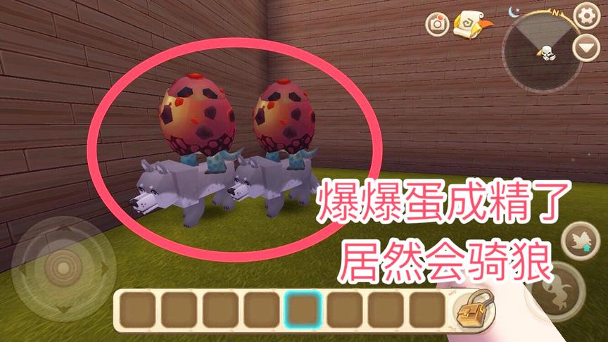 迷你世界：爆爆蛋居然骑着狼！爆爆蛋成精了，居然驯服了狼！
