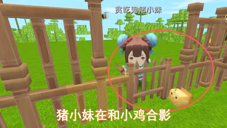 迷你世界联机19：我们在野外抓了两只鸡，养在猪小妹建好的鸡笼里