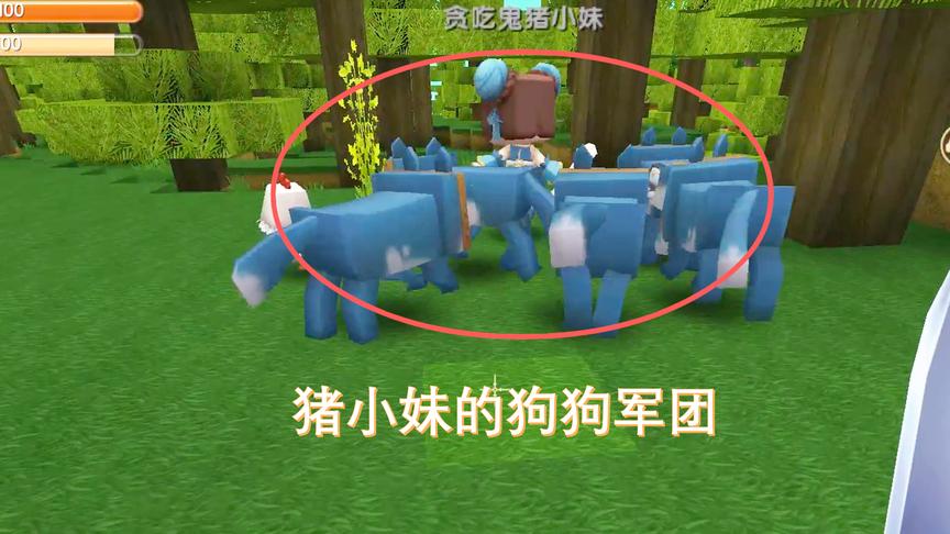 迷你世界联机20：猪小妹在野外组建了一只狗狗军团，正在四处打劫