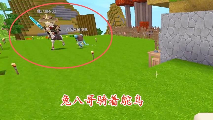 迷你世界联机46：我们刚驯服的鸵鸟还没骑够，就被猪小妹宰了