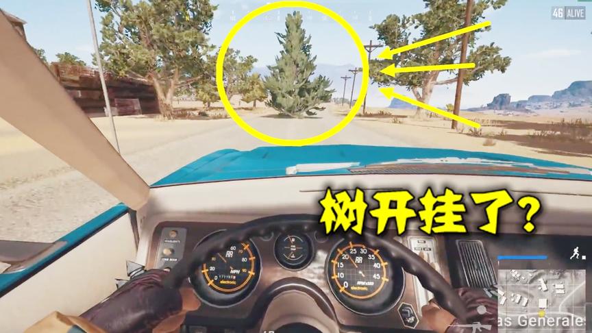 绝地求生：玩了3000场游戏，没见过这种情况，马路中间竟长了棵树