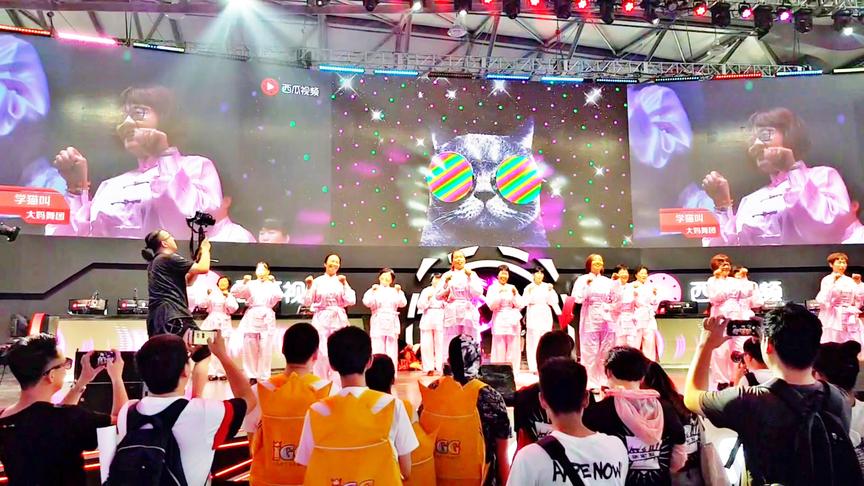 小林带你看CJ：当抖音火爆歌曲学猫叫遇到大妈的舞蹈效果非常不错