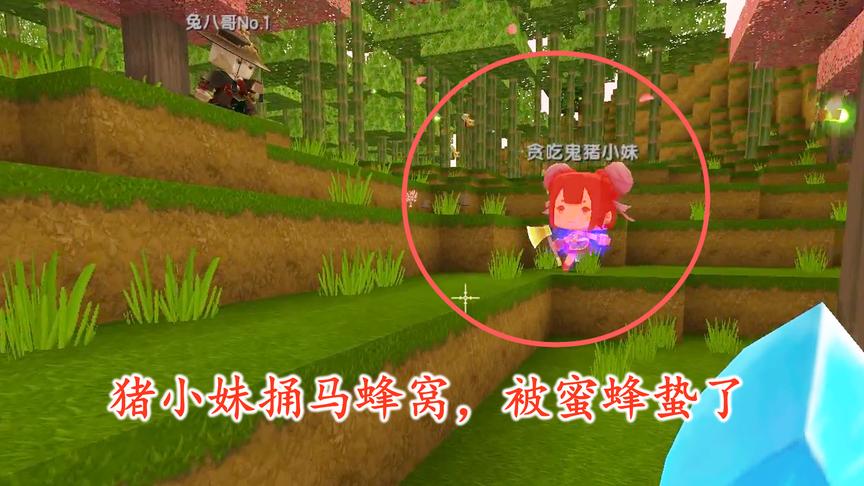迷你世界联机57：猪小妹在桃林捅了马蜂窝，被蜜蜂蛰成了猪头