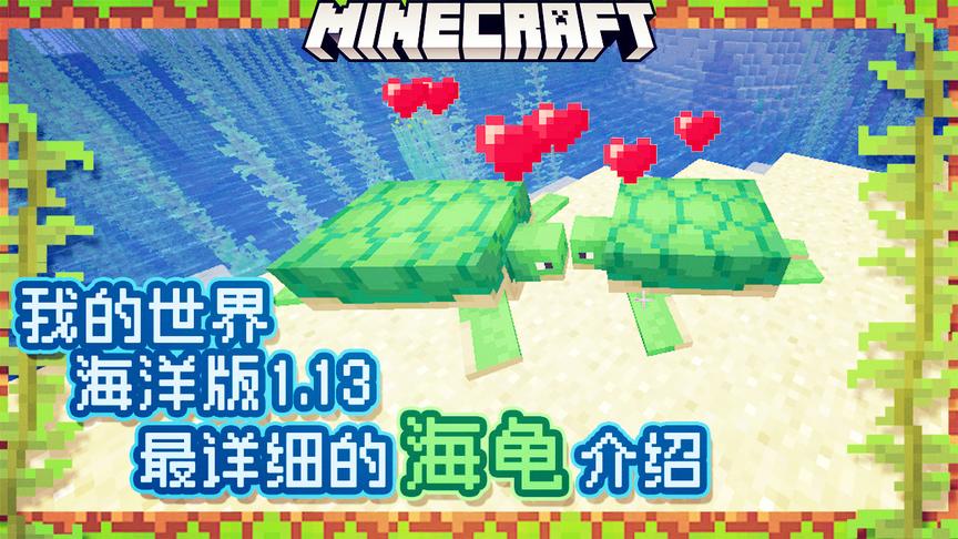 我的世界海洋版：最全最详细的海龟介绍，小小的海龟有这么多作用