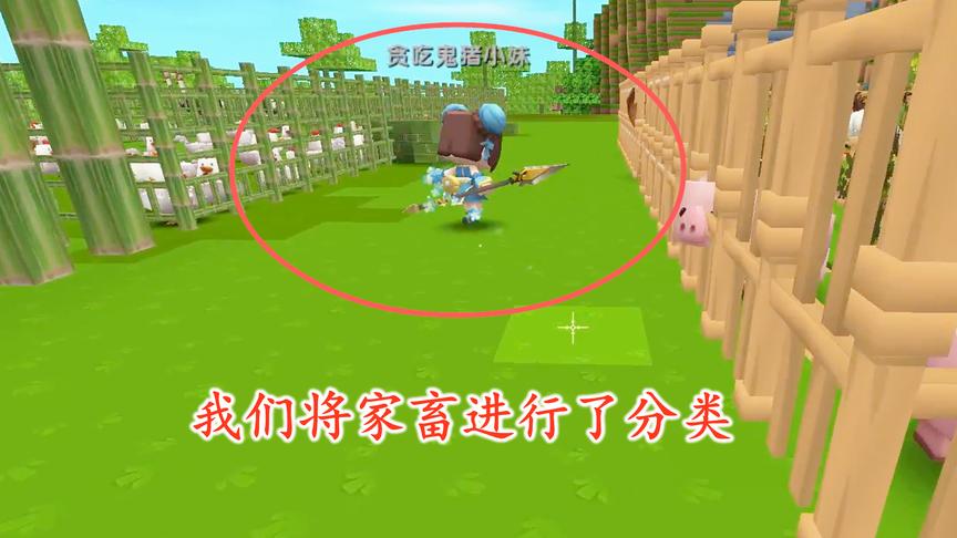 迷你世界联机74：听取粉丝的建议，我们用食物将家畜进行了分类