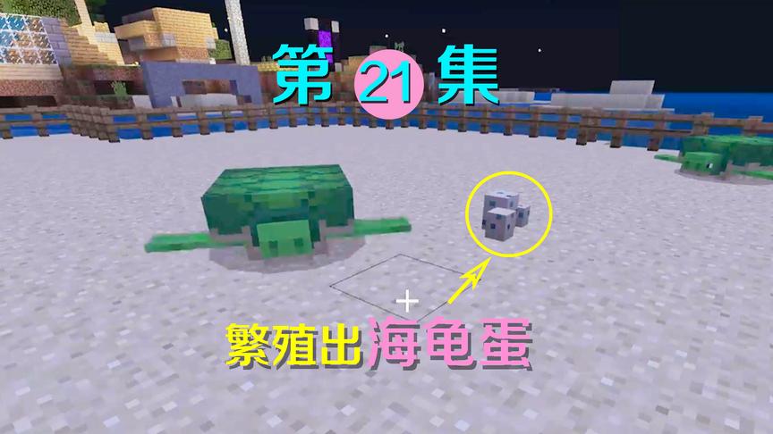 我的世界21：大概是mc中第一个卵生生物，千辛万苦终于生了海龟蛋