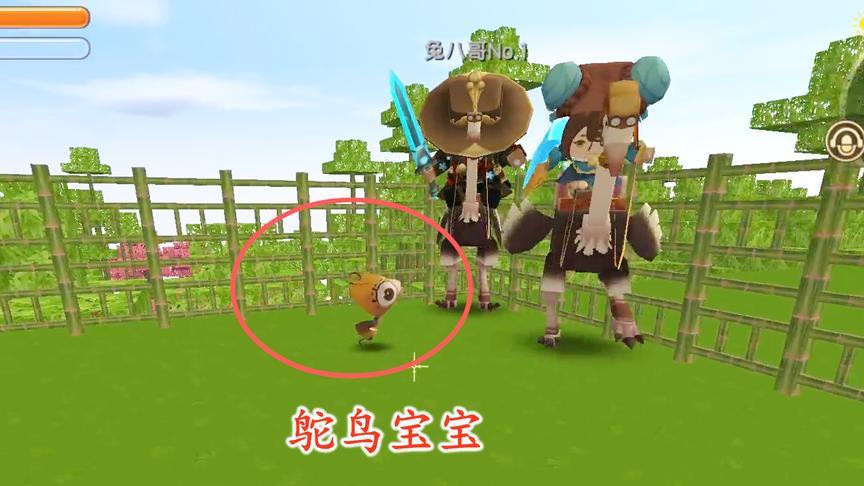 迷你世界联机94：我从沙漠带回的鸵鸟，给猪小妹生了一只鸵鸟宝宝