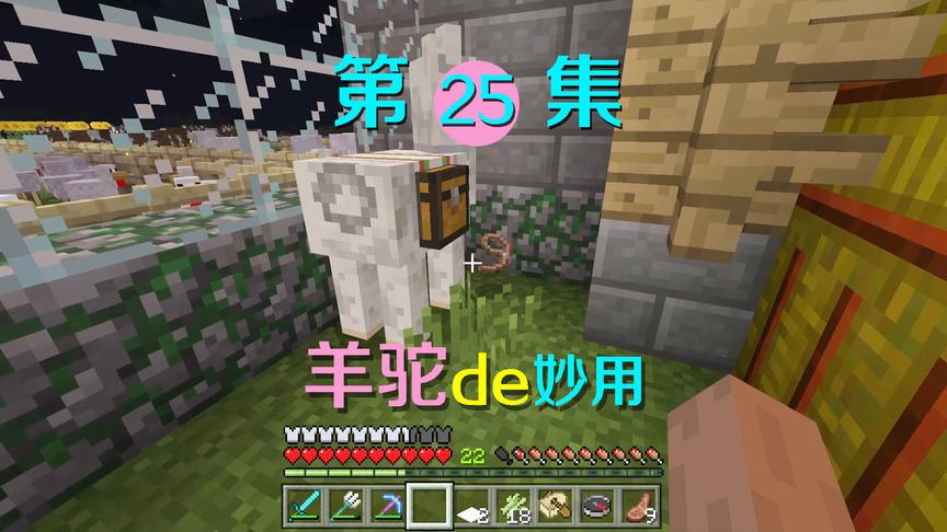 我的世界25：羊驼还有这个妙用？用它拉货再也不怕背包满啦