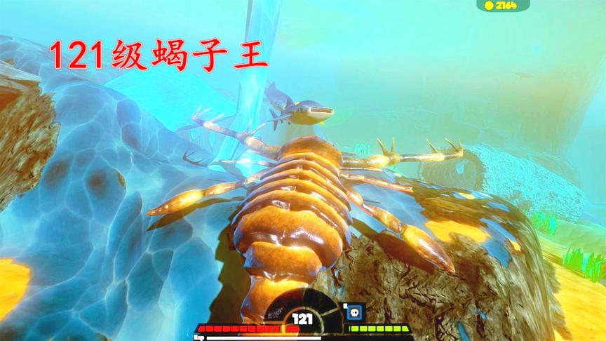 海底大猎杀：121级海蝎王到底有多厉害？鲨鱼见到它都要绕道走