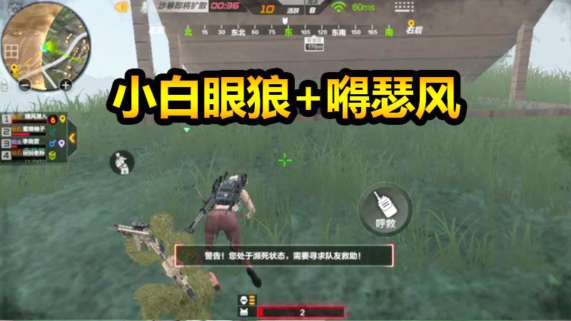 随风生存特训22：近视眼碰上雾天？我感觉这个游戏在针对我